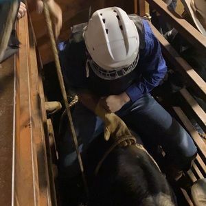 Meet your Posher, Ian